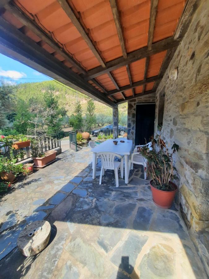Casa Penafalcao Castelo Branco  Luaran gambar
